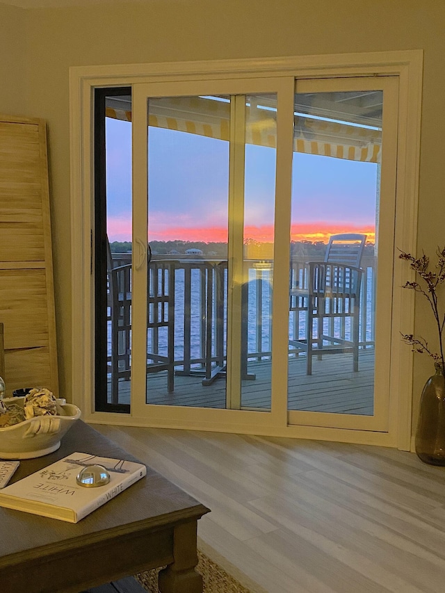 doorway to outside with wood-type flooring, plenty of natural light, and a water view