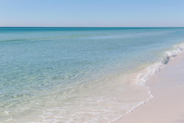 water view featuring a beach view