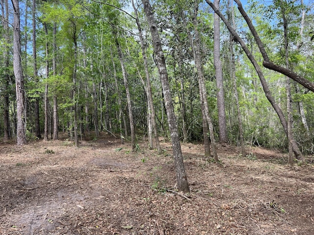 LOT18 Cross Creek Cir, Freeport FL, 32439 land for sale