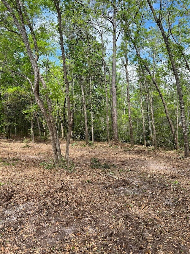 Listing photo 3 for LOT18 Cross Creek Cir, Freeport FL 32439