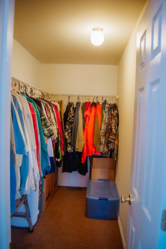 spacious closet with dark carpet