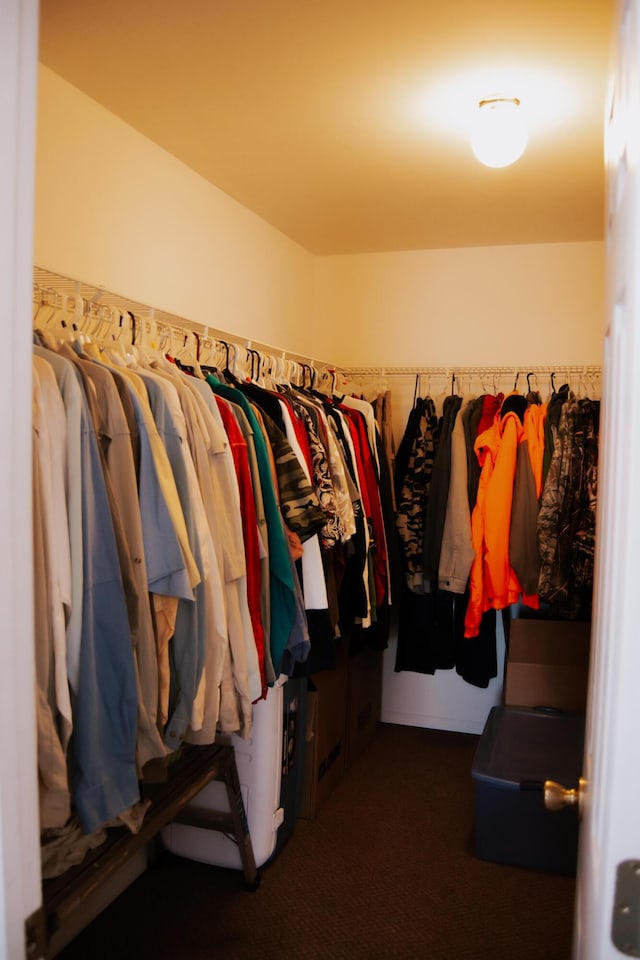 walk in closet with dark carpet