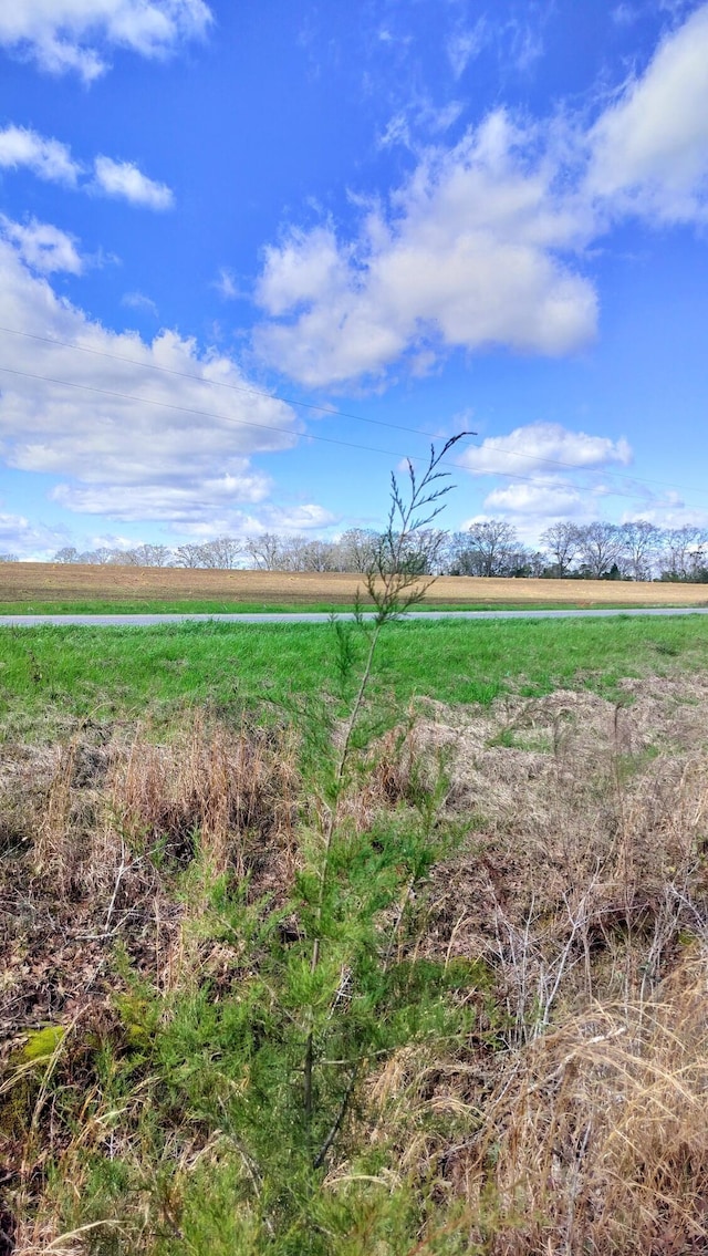 view of nature with a rural view