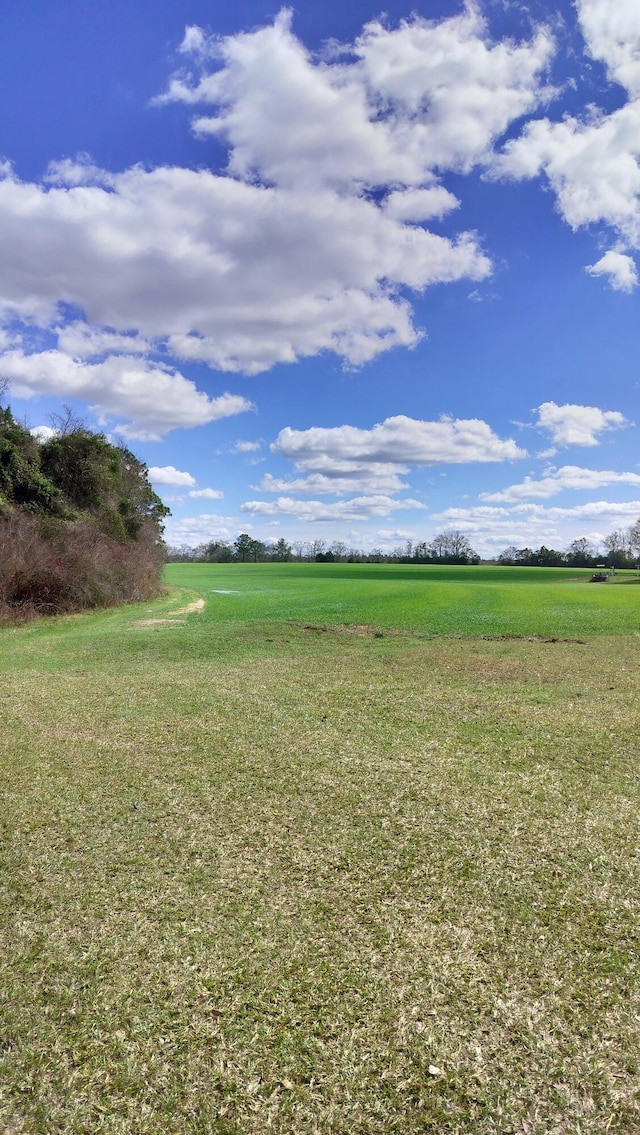 view of yard featuring a rural view