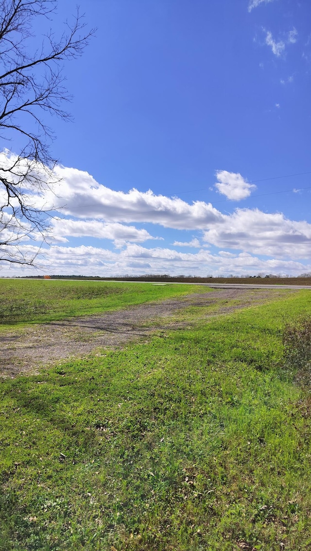 view of yard featuring a rural view