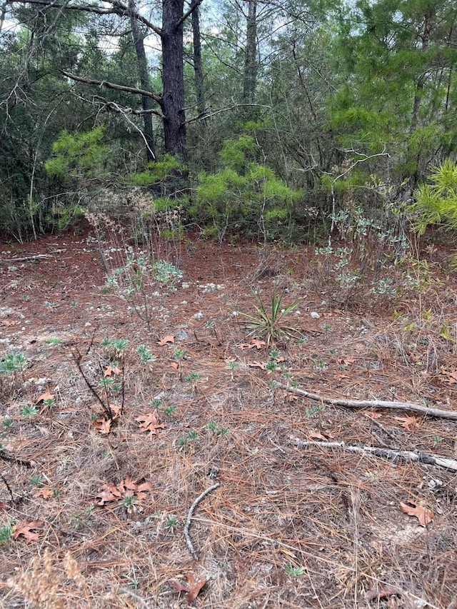 Listing photo 2 for LOT17 Coventry Rd, Defuniak Springs FL 32433