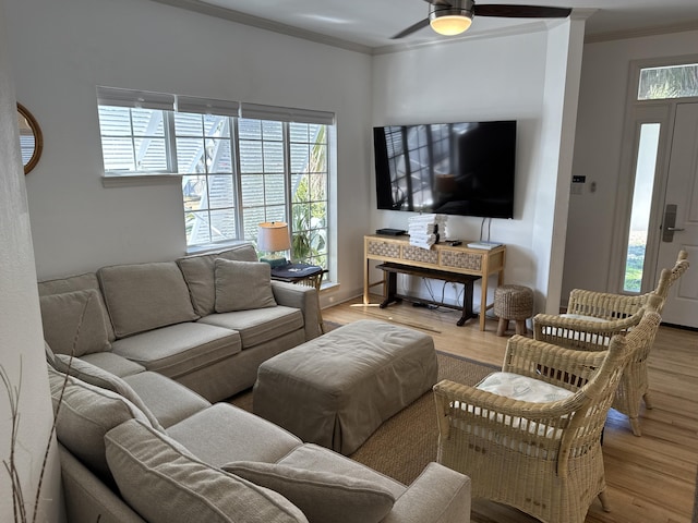 living room with ceiling fan, ornamental molding, and light wood-type flooring