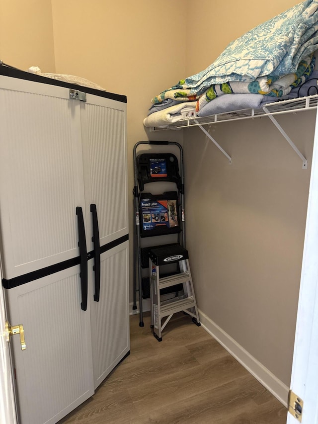 walk in closet featuring wood-type flooring