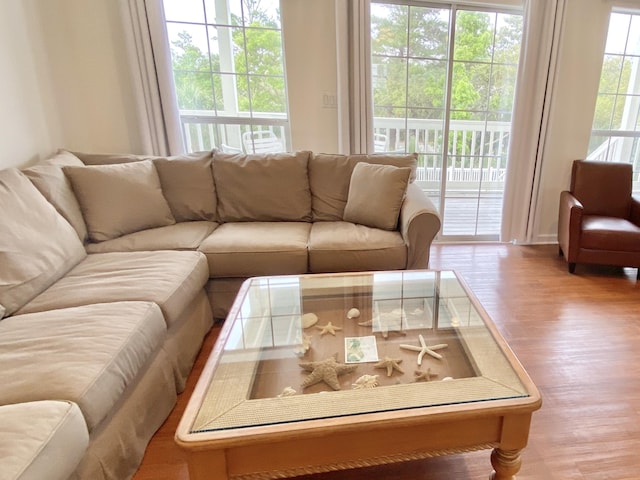 living room featuring wood finished floors