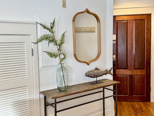 room details with hardwood / wood-style floors