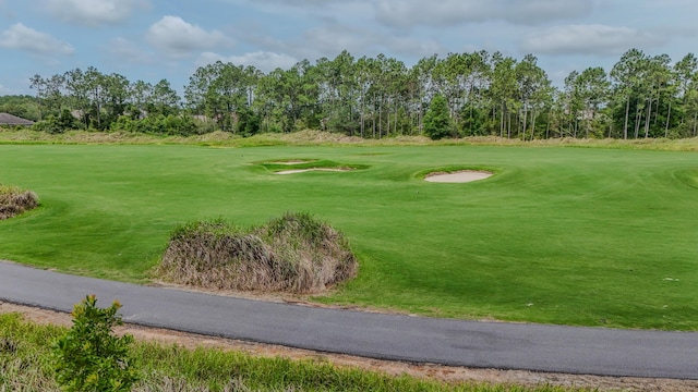 132 Gulf Pines Ct, Freeport, FL 32439 - view of property's community featuring golf course view and view of scattered trees