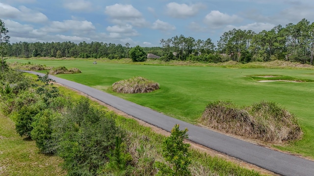 132 Gulf Pines Ct, Freeport, FL 32439 - view of home's community featuring golf course view, view of scattered trees, and a lawn