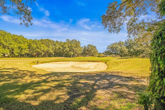 surrounding community with a lawn