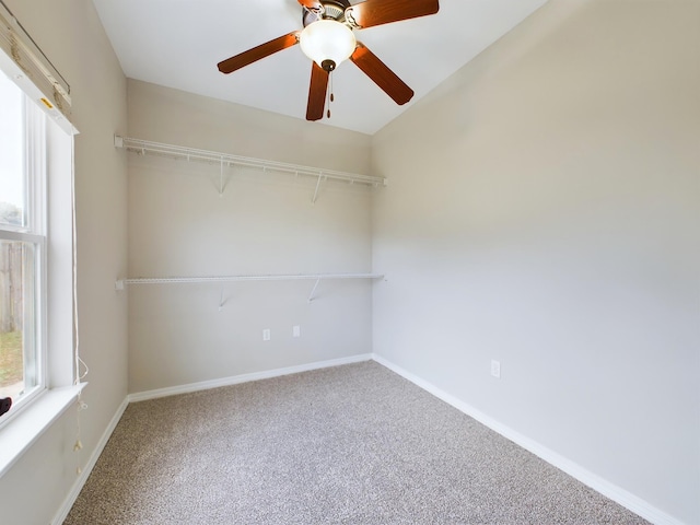 carpeted spare room with a healthy amount of sunlight and ceiling fan