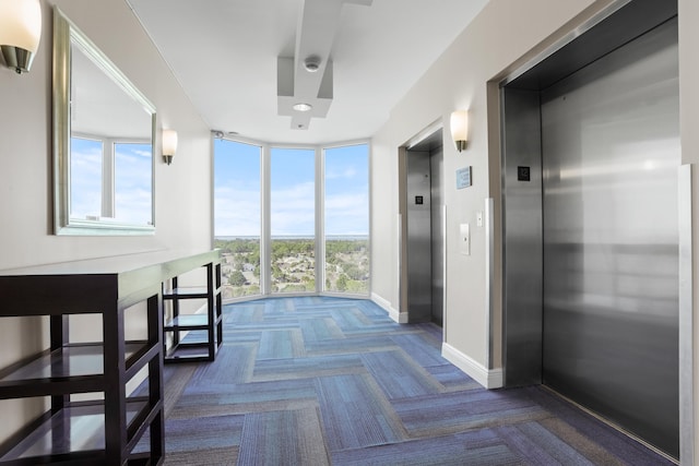 hall featuring expansive windows, elevator, and carpet flooring