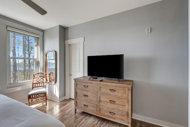 bedroom with light hardwood / wood-style flooring