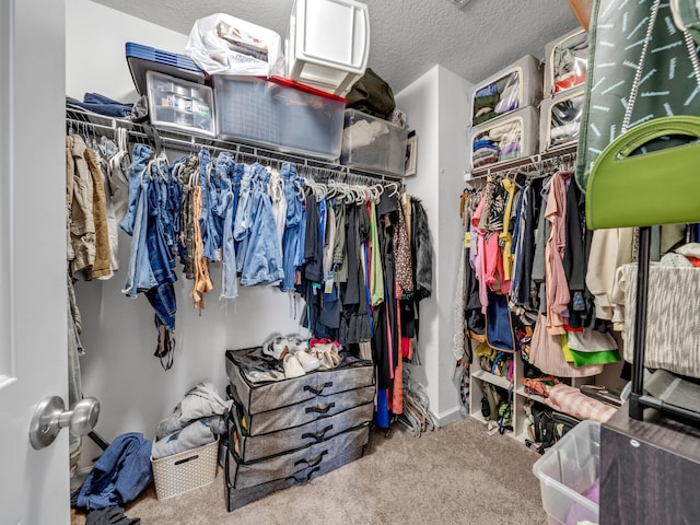 walk in closet featuring carpet flooring