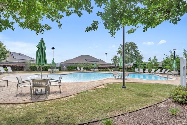 view of swimming pool featuring a patio area and a lawn