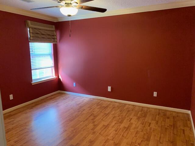 empty room featuring ceiling fan, ornamental molding, and light hardwood / wood-style floors