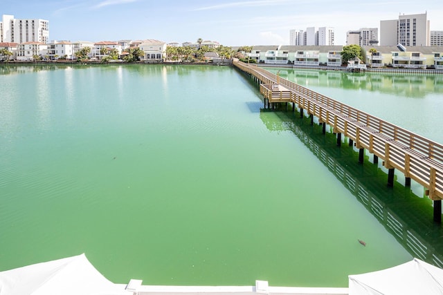 dock area with a water view