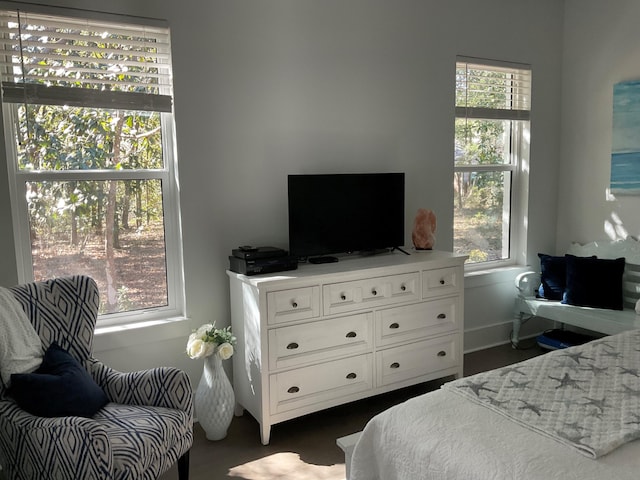 bedroom featuring multiple windows