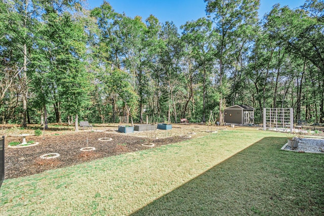 view of yard with a shed