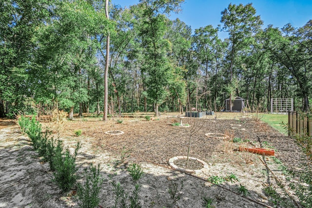 view of yard featuring a storage shed