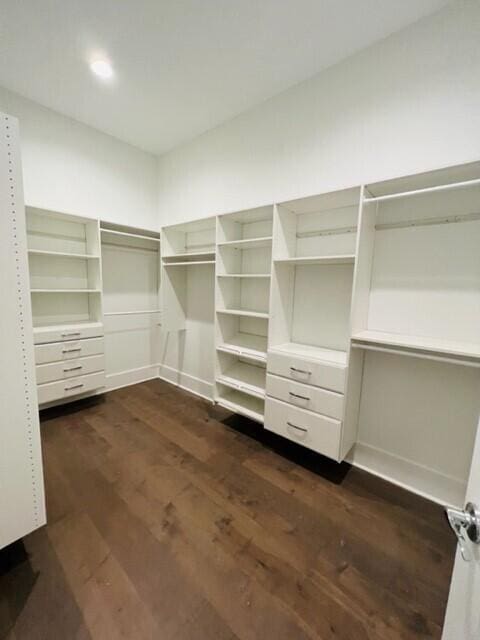 walk in closet featuring dark hardwood / wood-style flooring