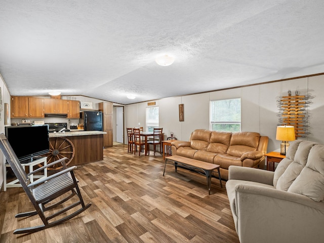 living room featuring lofted ceiling, hardwood / wood-style floors, and a textured ceiling