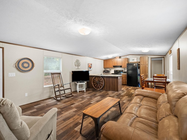 living room featuring lofted ceiling, dark wood-type flooring, and a textured ceiling