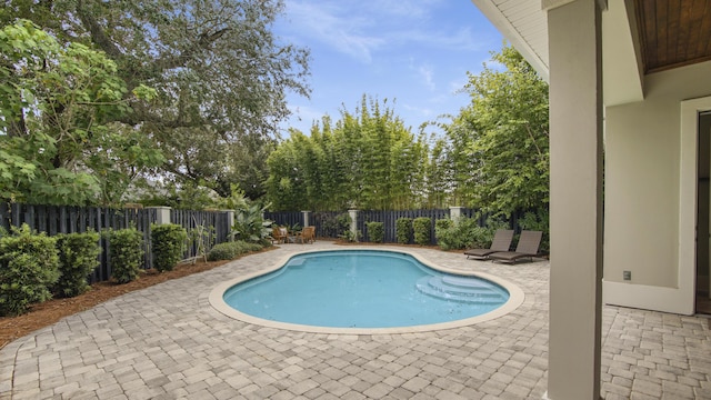 view of pool featuring a patio area