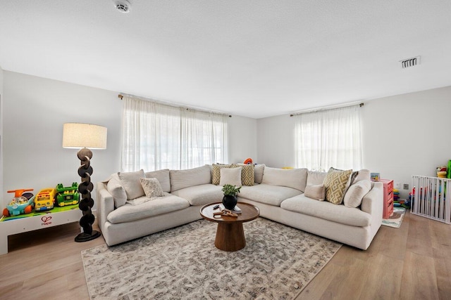 living room featuring light hardwood / wood-style floors and a healthy amount of sunlight