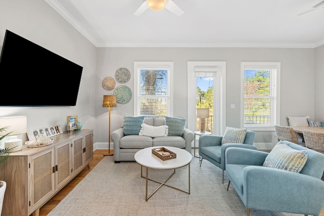 living room featuring ornamental molding, ceiling fan, and light wood-type flooring