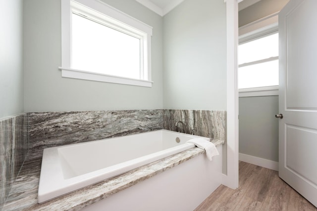 bathroom with hardwood / wood-style floors, a wealth of natural light, and a washtub