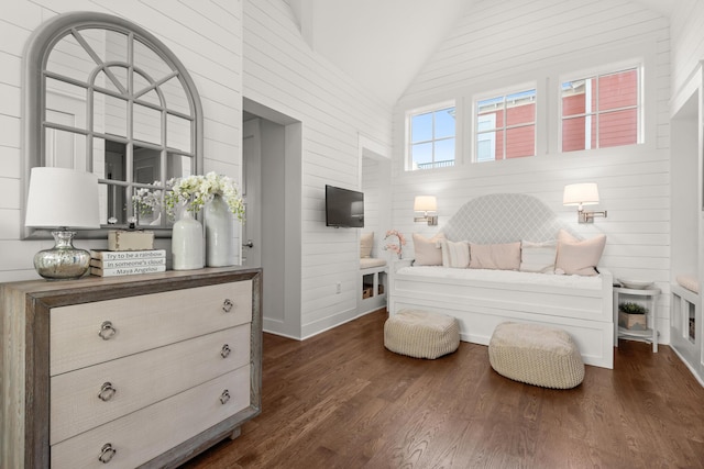 bedroom featuring dark wood-type flooring and high vaulted ceiling