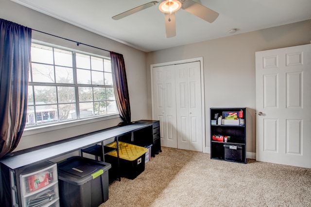 interior space featuring carpet