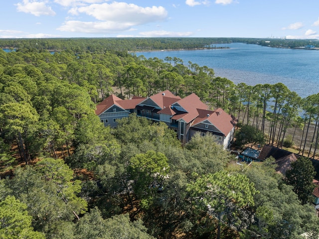 bird's eye view featuring a water view