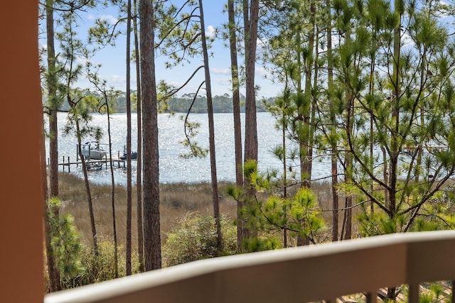 property view of water