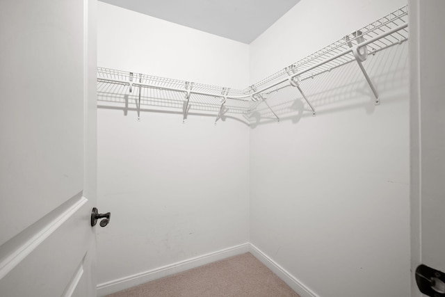 spacious closet with carpet floors