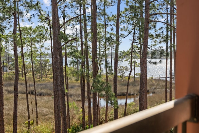 property view of water