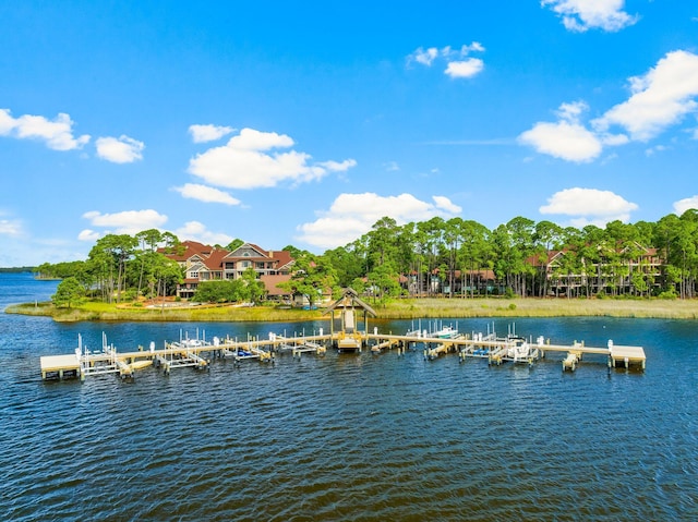 view of water feature featuring a dock