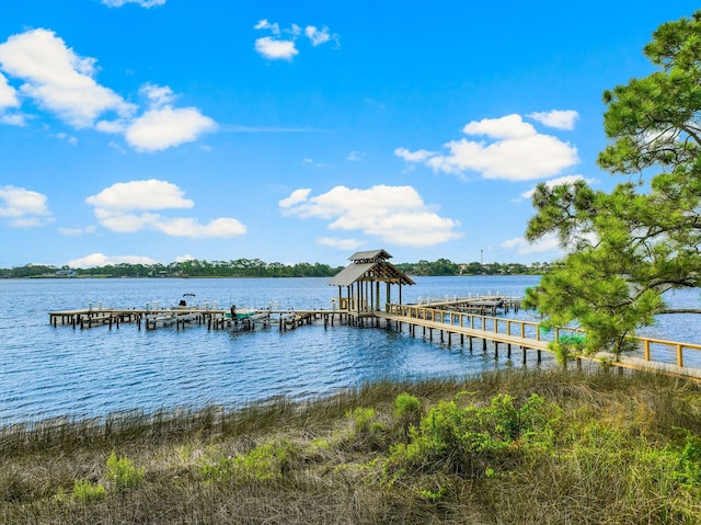 dock area with a water view