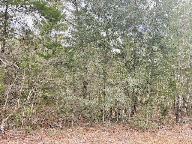 Listing photo 2 for LOT40 Beethoven Cir, Defuniak Springs FL 32433