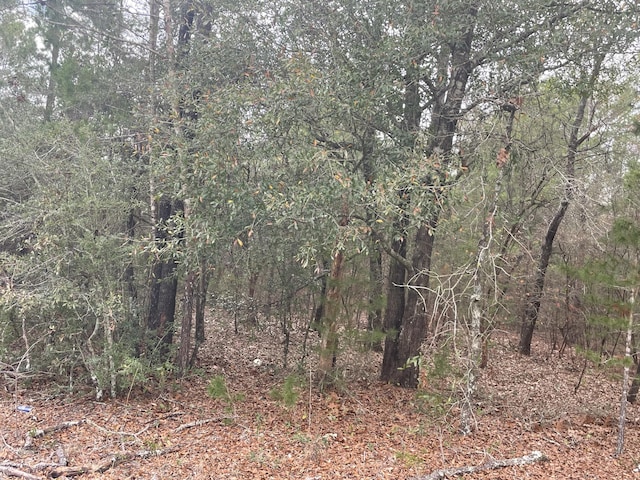 Listing photo 3 for LOT40 Beethoven Cir, Defuniak Springs FL 32433