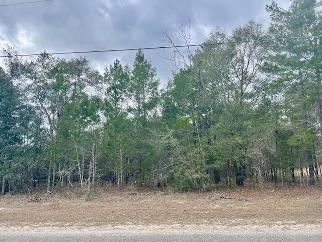 LOT40 Beethoven Cir, Defuniak Springs FL, 32433 land for sale