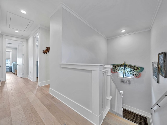 corridor featuring crown molding and light hardwood / wood-style floors