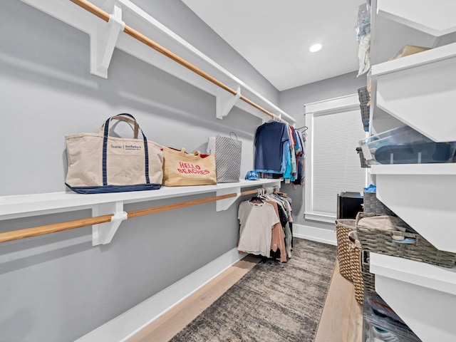 view of spacious closet