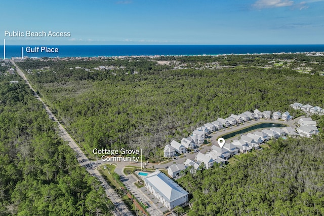 90 White Cottage Rd, Santa Rosa Beach, FL 32459 - drone / aerial view with a forest view and a water view