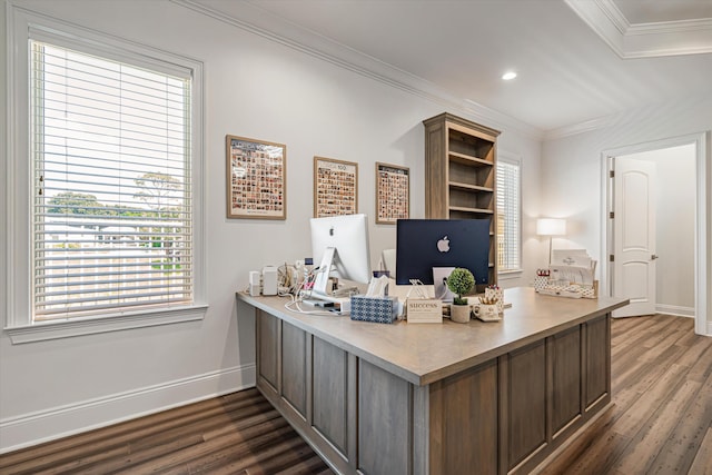 office featuring ornamental molding and dark hardwood / wood-style flooring