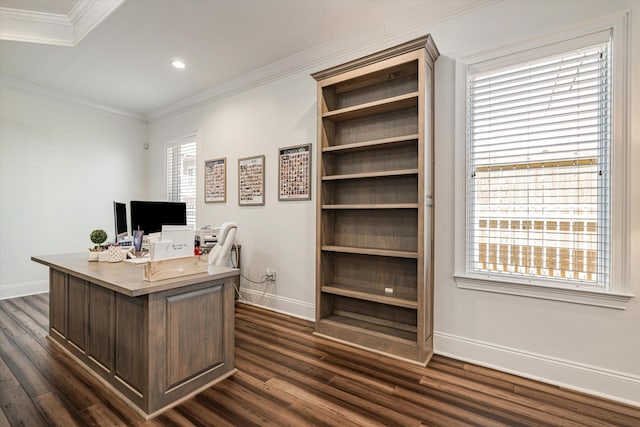 home office featuring crown molding and dark hardwood / wood-style floors